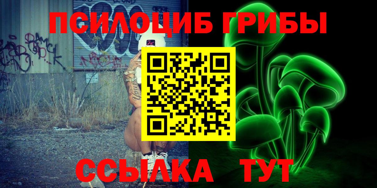 Новомосковск  Псилоцибиновые грибы Cubensis  Вход с VPN 